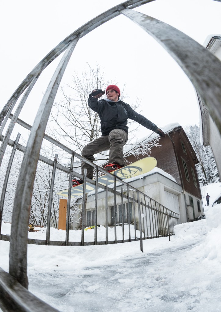 Lou in the streets. Treeter approved. © Daniel Loosli