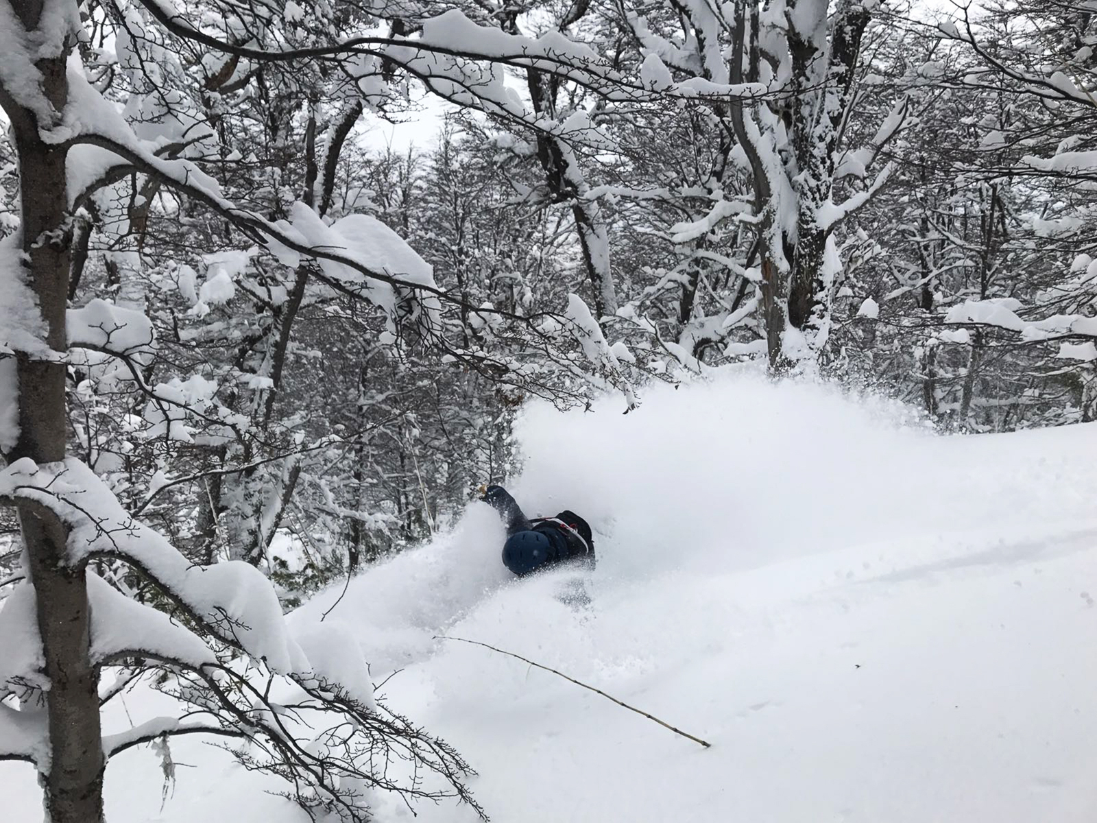 01_lea_pow_chapelco_asalvador